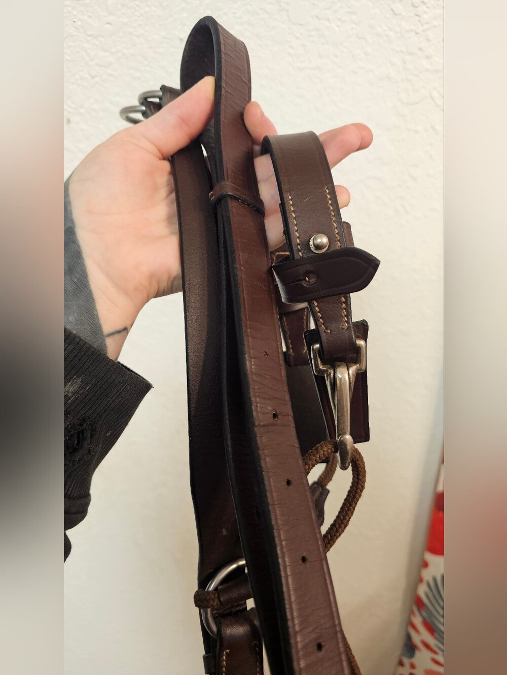 De Gogue Horse Training Aid
